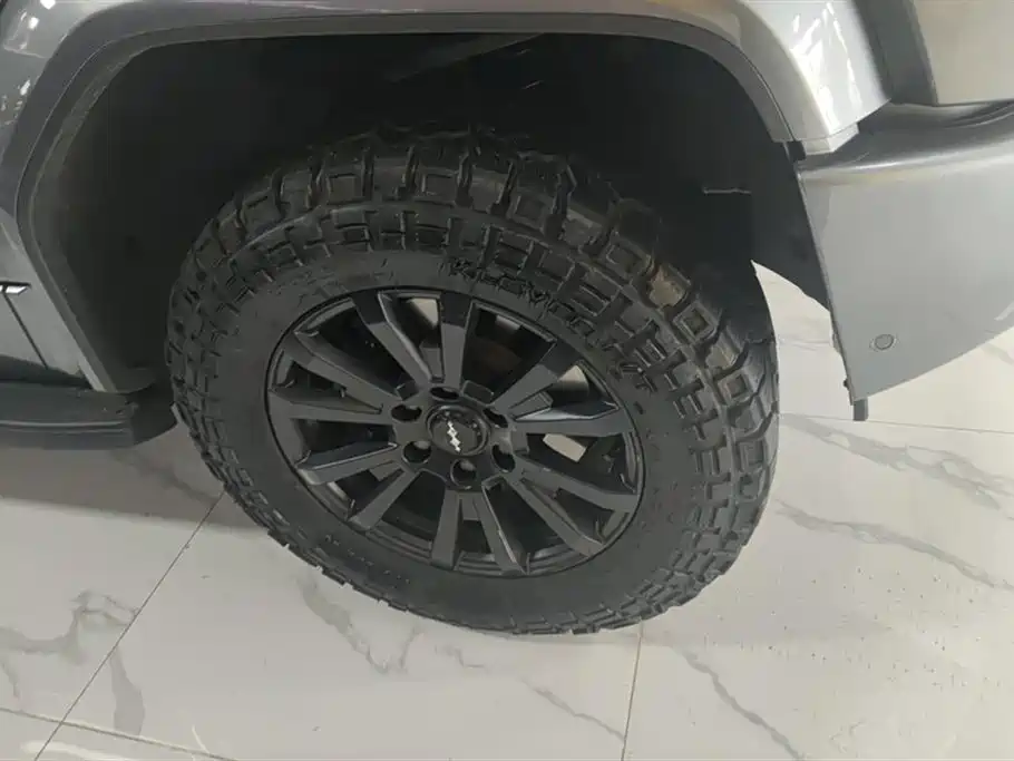 FANG CHENG BAO LEOPARD 5