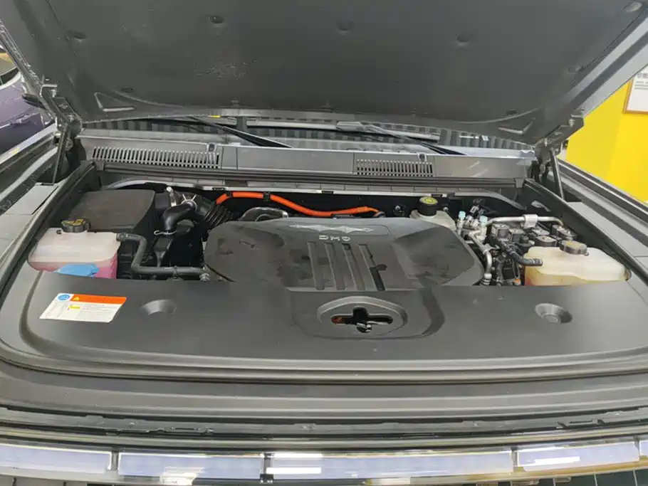 FANG CHENG BAO LEOPARD 5