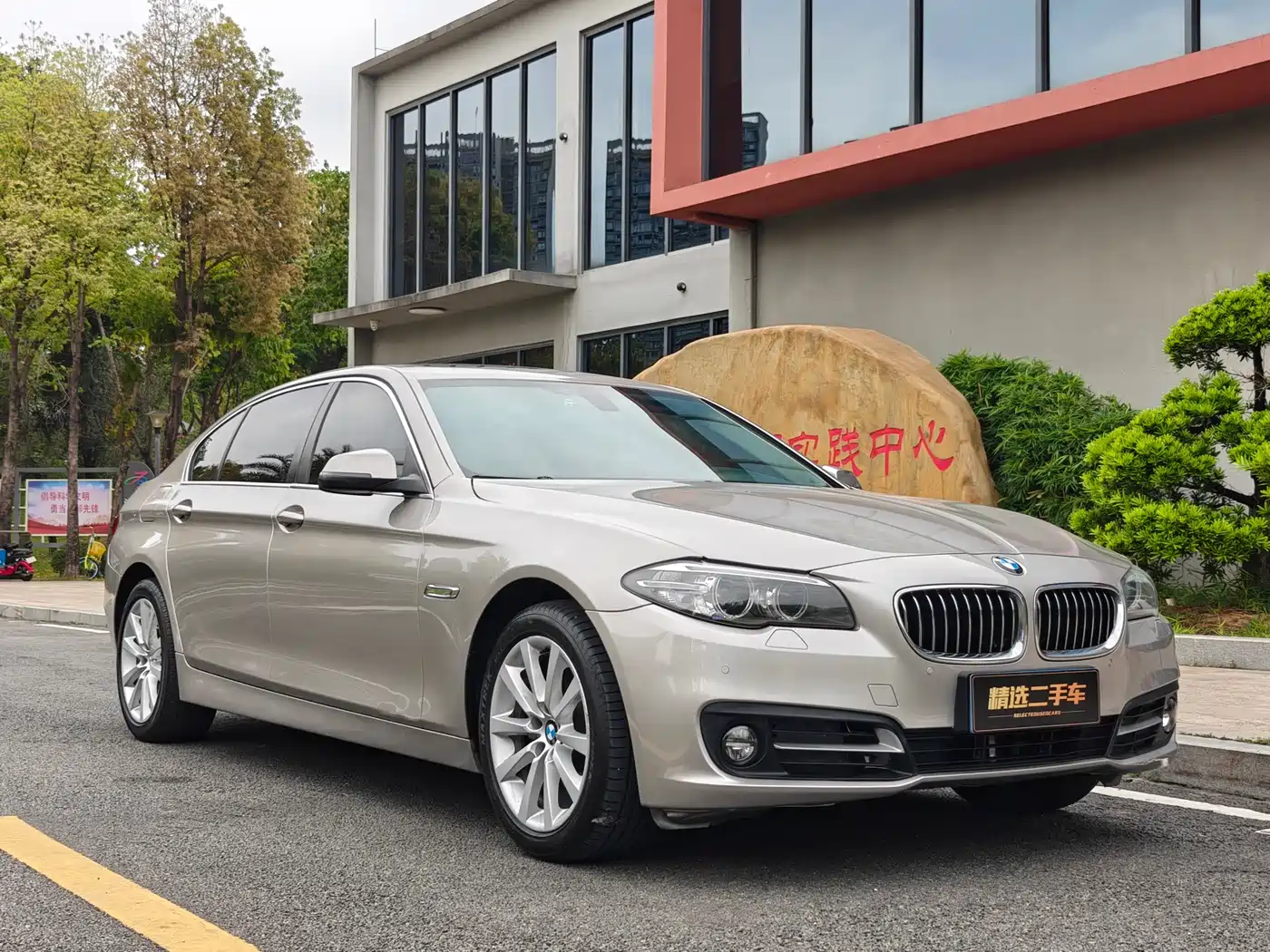 BMW 5 Series 2014 528Li Leading Edition фото 3
