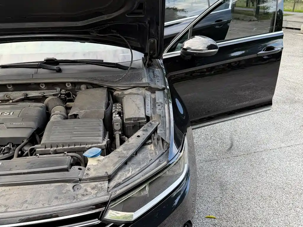 Volkswagen Magotan 2018 330TSI DSG Leading фото 30