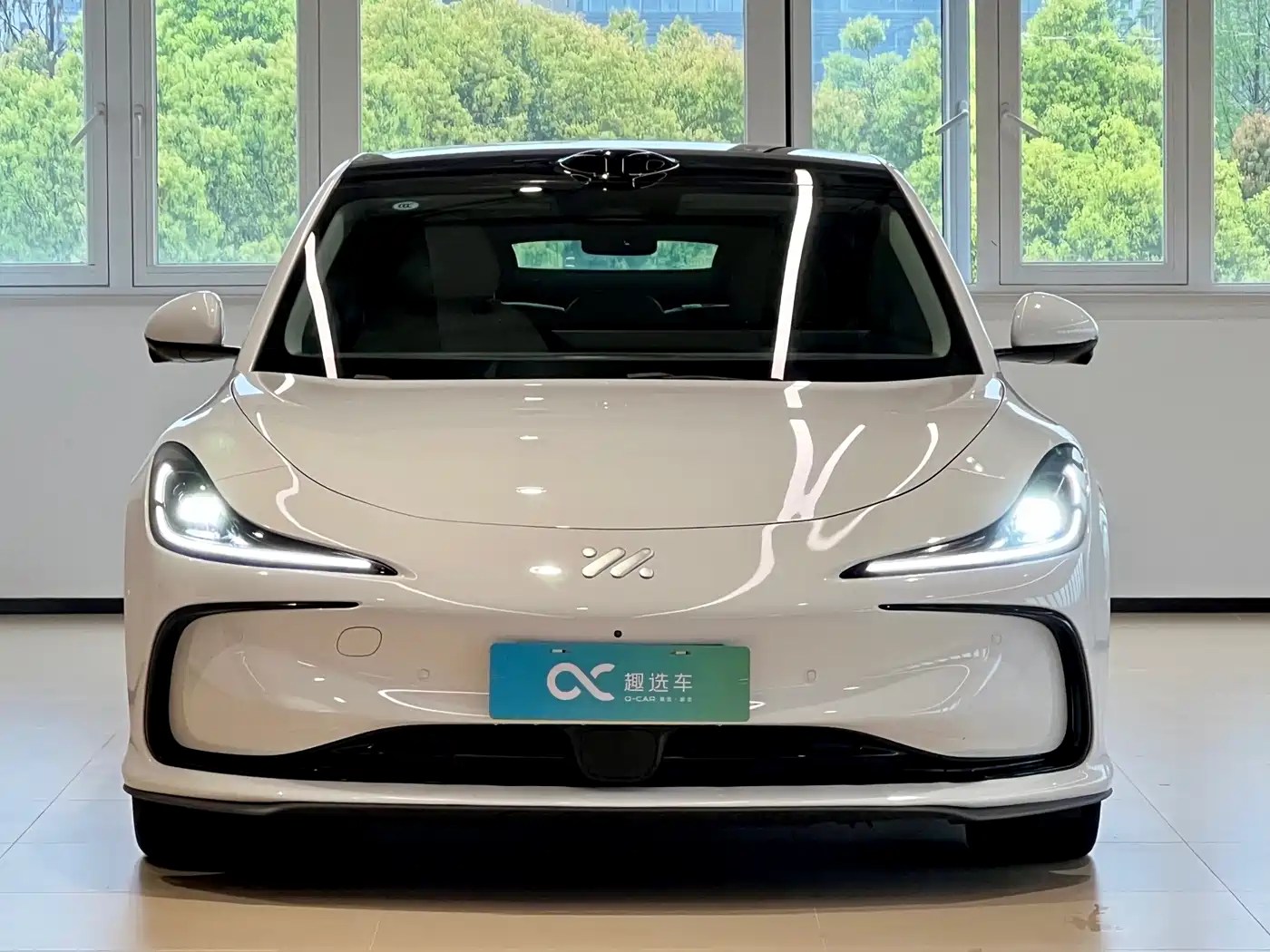 ZHIJI AUTOMOBILE ZHIJI L6