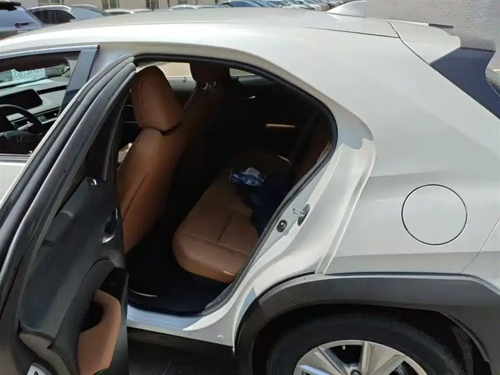 Lexus UX 2020 260h Explore Cool Edition China V фото 7