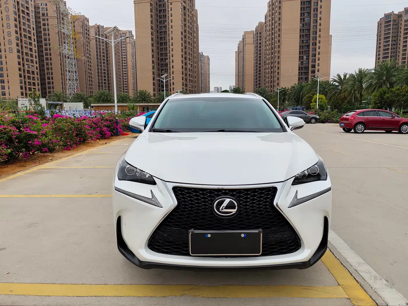 Lexus NX 2016 200 AWD F Sport фото 2