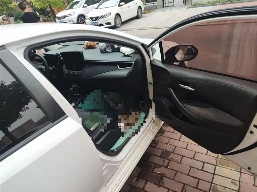 Toyota Corolla 2019 1.2T S-CVT GL Pioneer Edition фото 22
