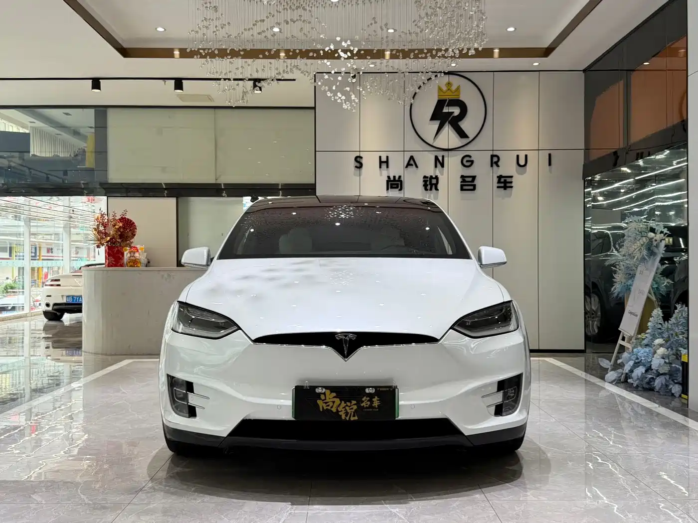 TESLA MODEL X