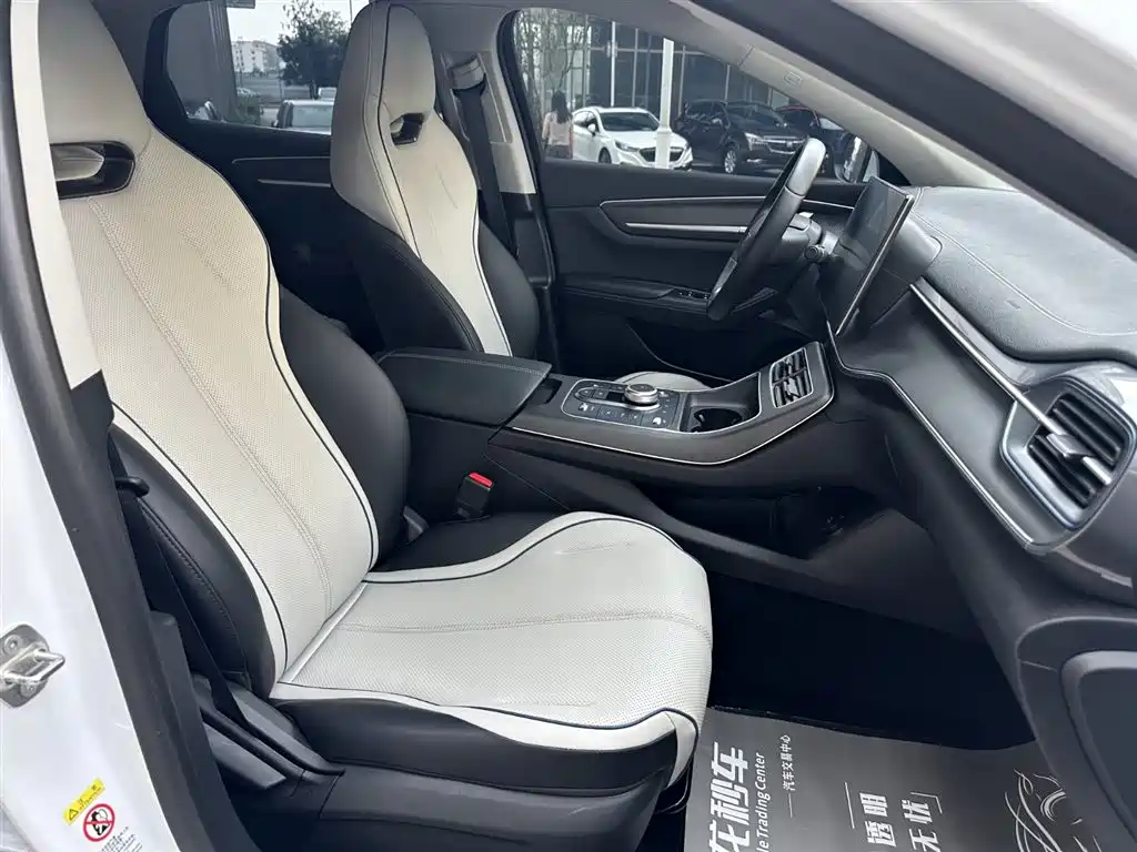 BYD Destroyer 05 2024 Glory Edition DM-i 120KM Luxury фото 15