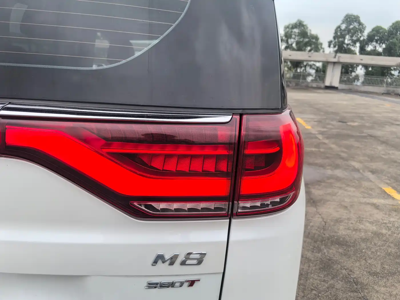 GAC Trumpchi Trumpchi M8 2023 Leading Series 390T Luxury Edition фото 5