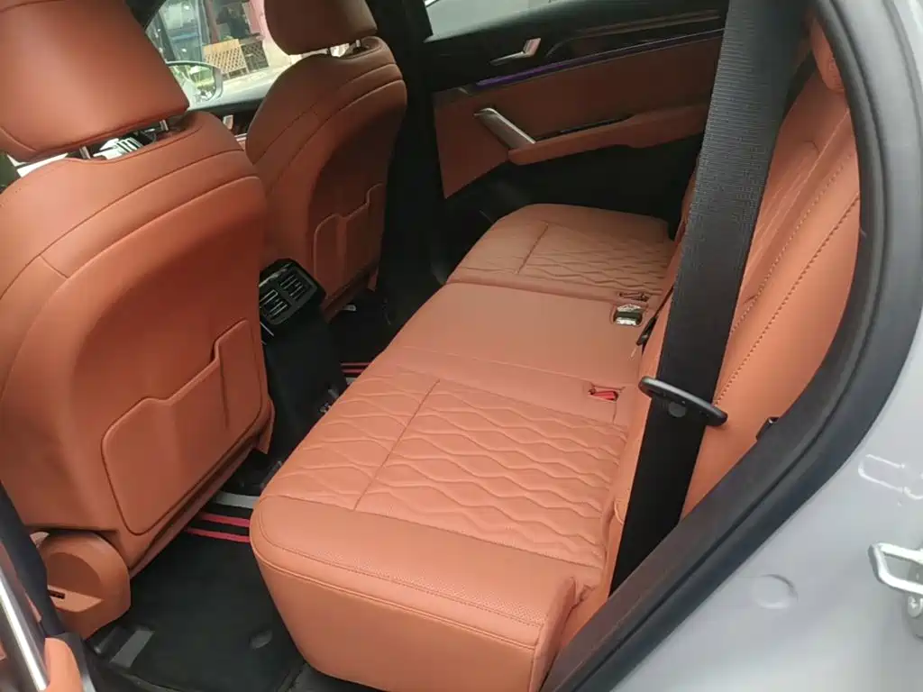 BYD Tang New Energy 2025 2026 Smart Drive Edition DM-i 160KM Premium
