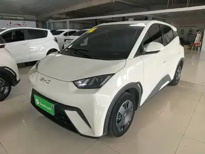 BYD Seagull