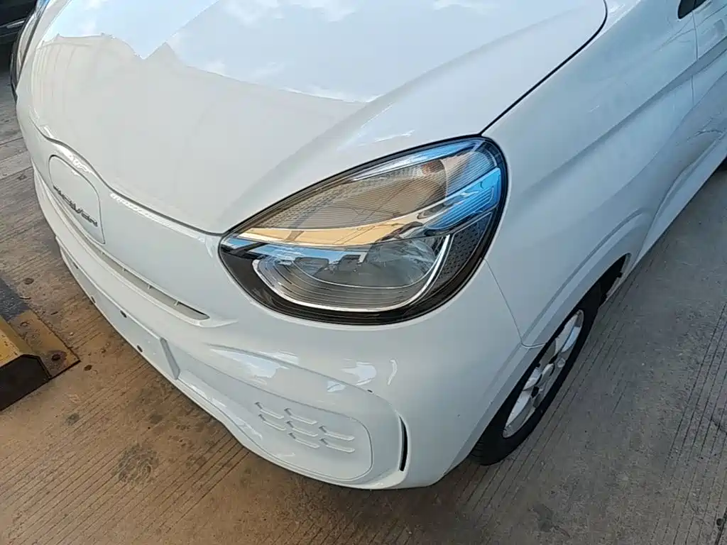 Roewe Clever 2023 2022 311km Vitality Bobo Edition
