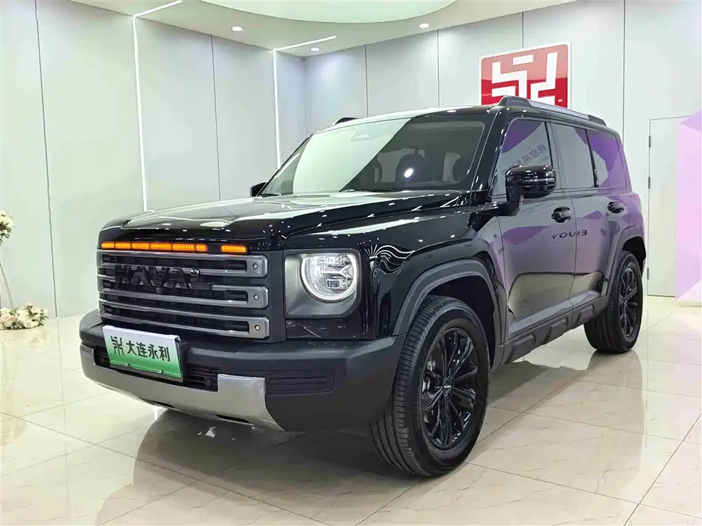 HAVAL RAPTORS NEW ENERGY