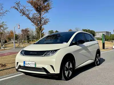BYD Dolphin