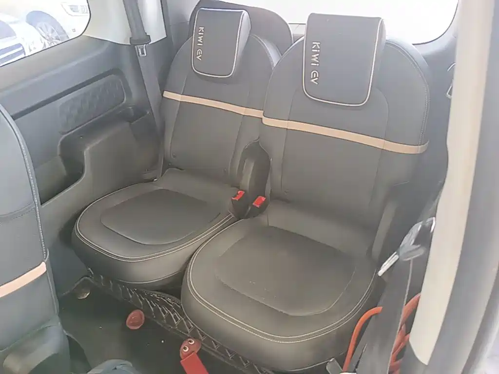 Baojun KiWi EV 2022 2021 Artist LFP