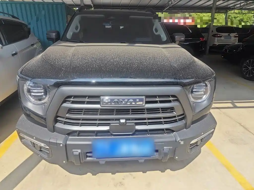 Haval Dargo 2024 2024 2.0T DCT Chinese Rural Dog Edition