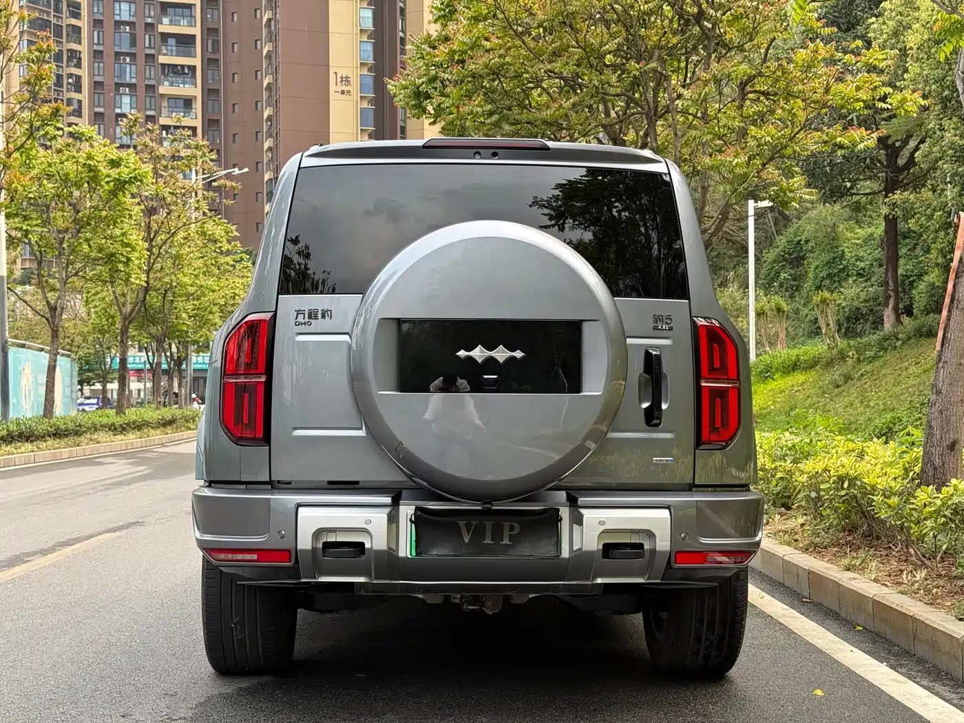 FANG CHENG BAO LEOPARD 5