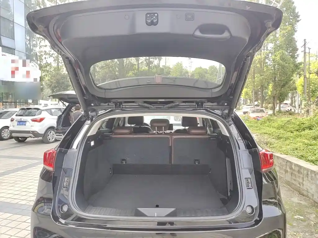 WEY VV7 2020 2020 2.0T Super Luxury