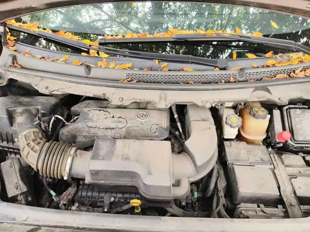 Фото 3 - Buick GL8