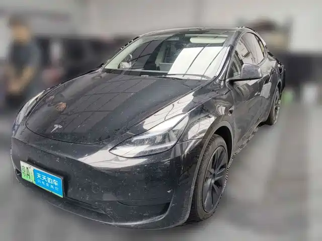 Tesla Model Y 2024 Rear-Wheel Drive Version — фото 1