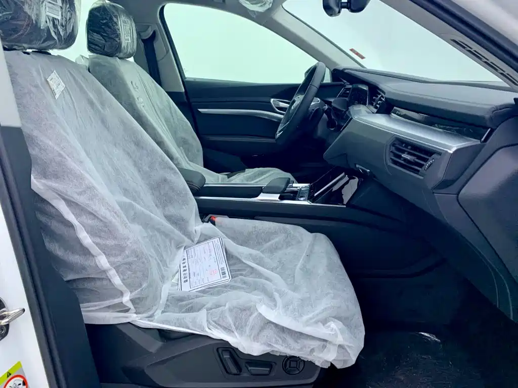 Audi e-tron 2026 2021 50 quattro Luxury