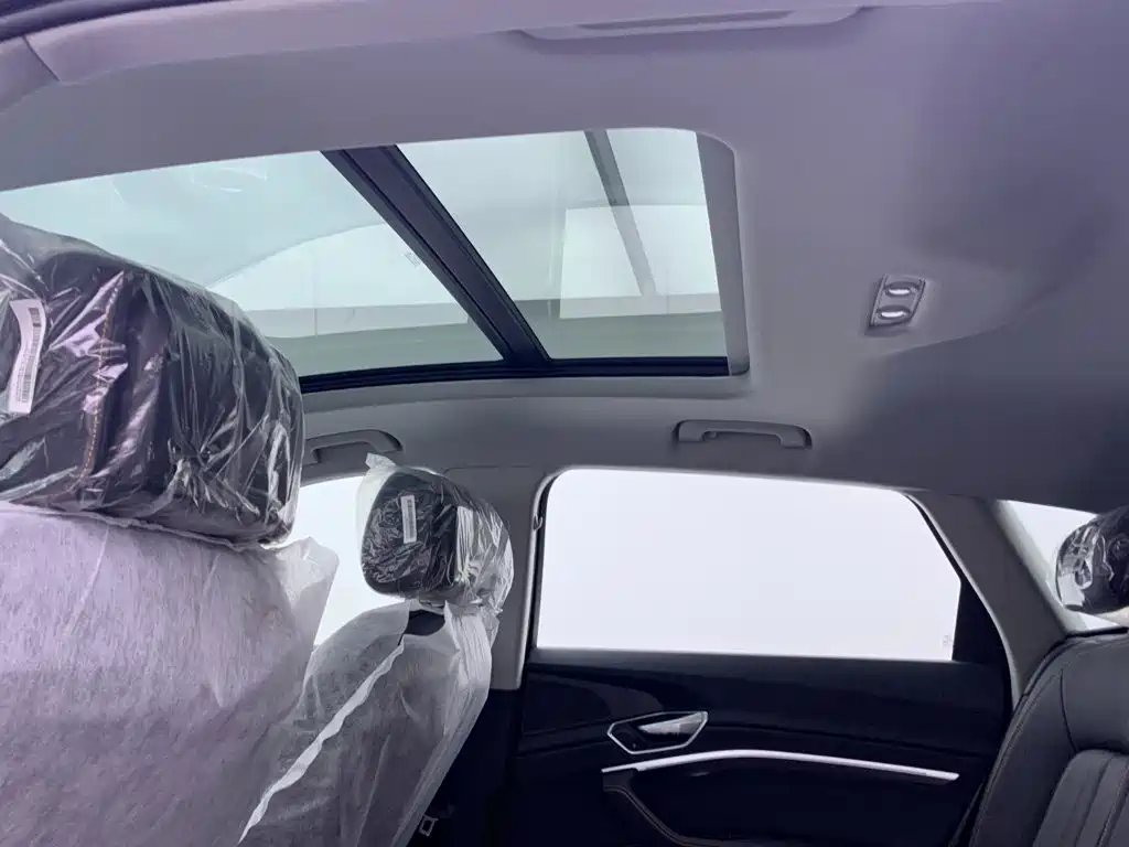 Audi e-tron 2026 2021 50 quattro Luxury