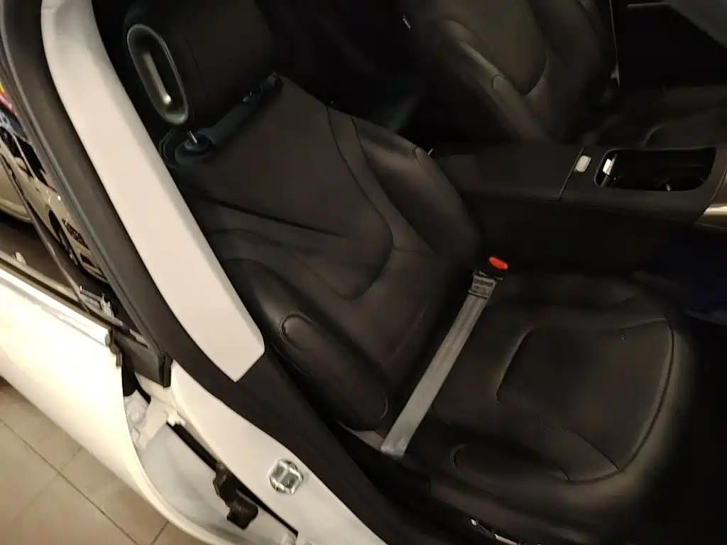 smart Elf #1 2025 2026 Agile New Luxury Edition