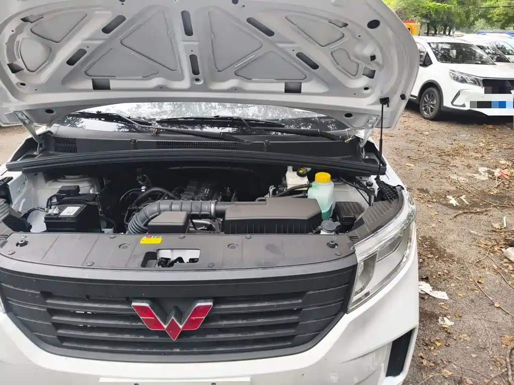 Wuling Motors Wuling Hongguang PLUS 2026 2020 1.5L Manual Standard 5-seater