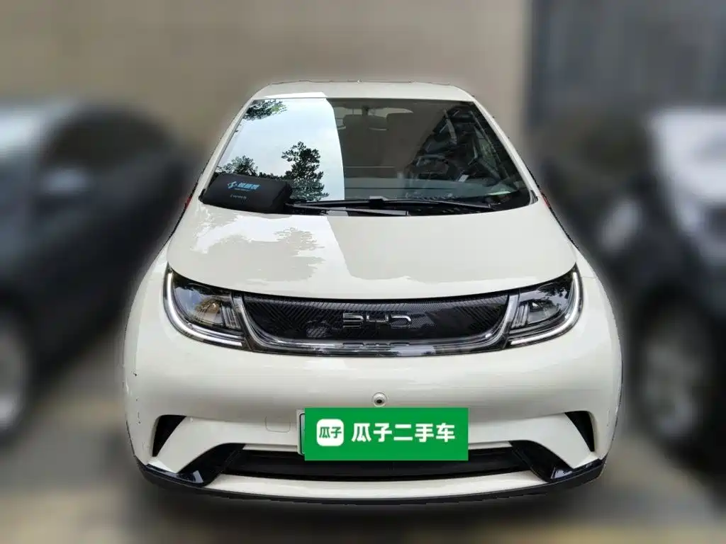 BYD Dolphin 2026 2025 420km Freedom Edition