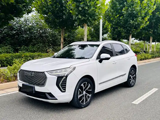  Haval Haval First Love 2021 1.5T Automatic Premium Edition