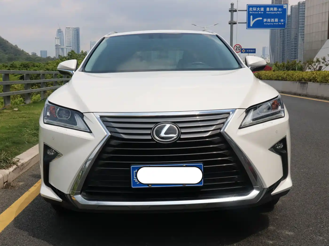 Lexus RX 2016 300 2WD Elite Edition (China V) фото 5