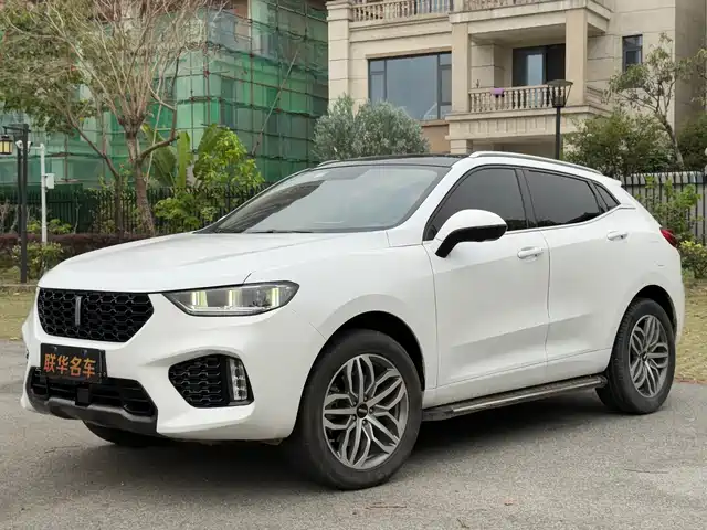 WEI PAI WEI BRAND VV5