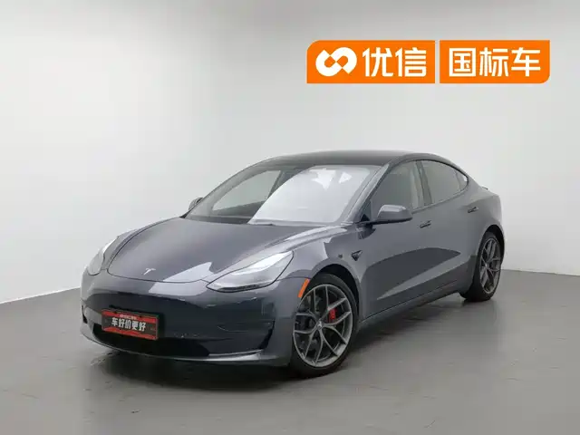 Tesla Model 3 2021 Performance High-Performance All-Wheel Drive — фото 1