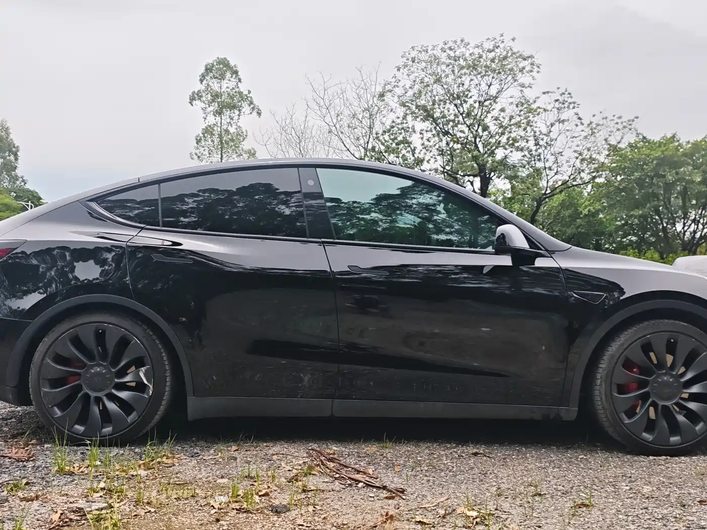 Фото 7 - Tesla Model Y
