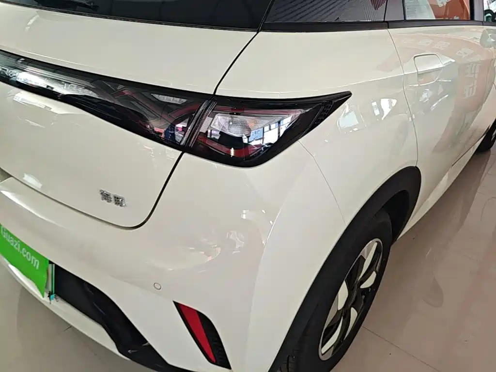 BYD Dolphin 2026 2025 420km Freedom Edition