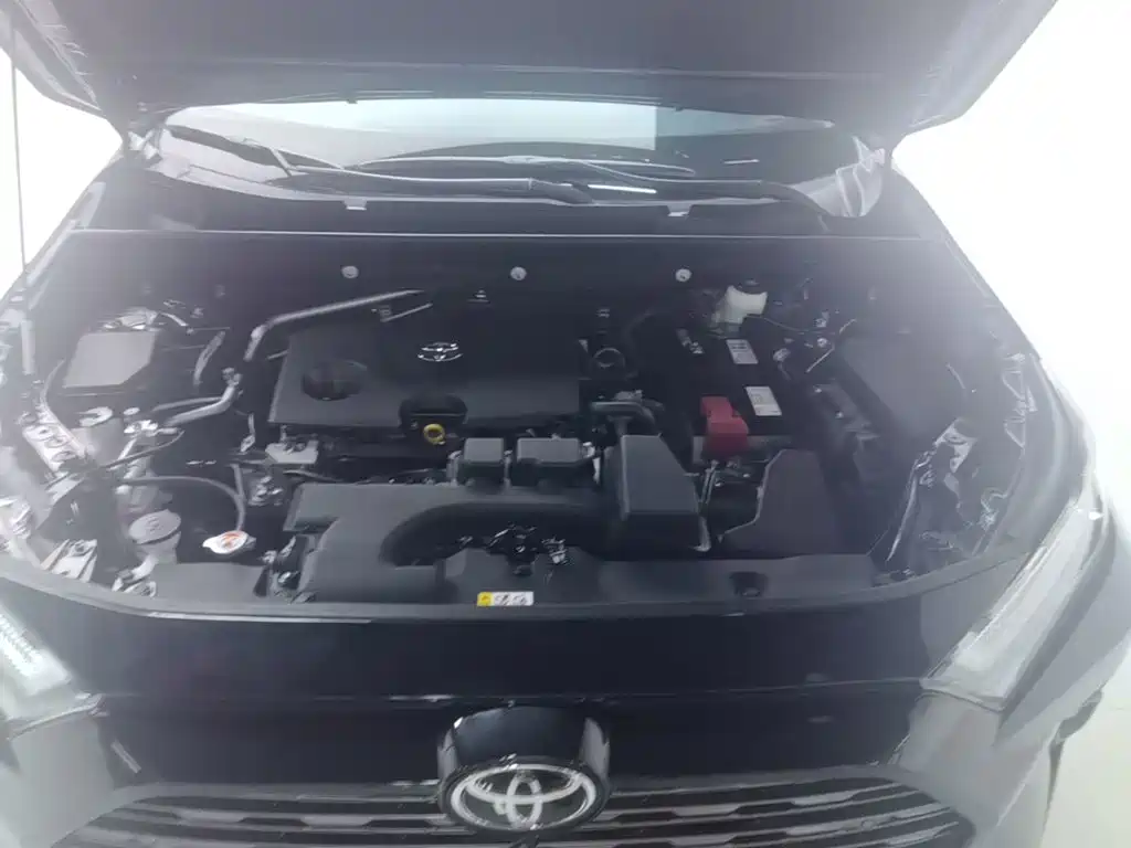 Toyota RAV4 Rongfang 2025 2024 2.0L CVT FWD Style Plus Edition