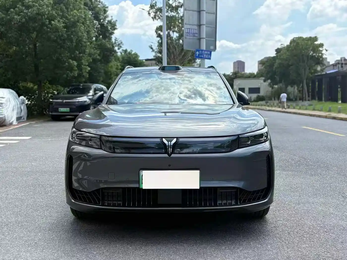 2025 Voyah Auto VOYAH FREE