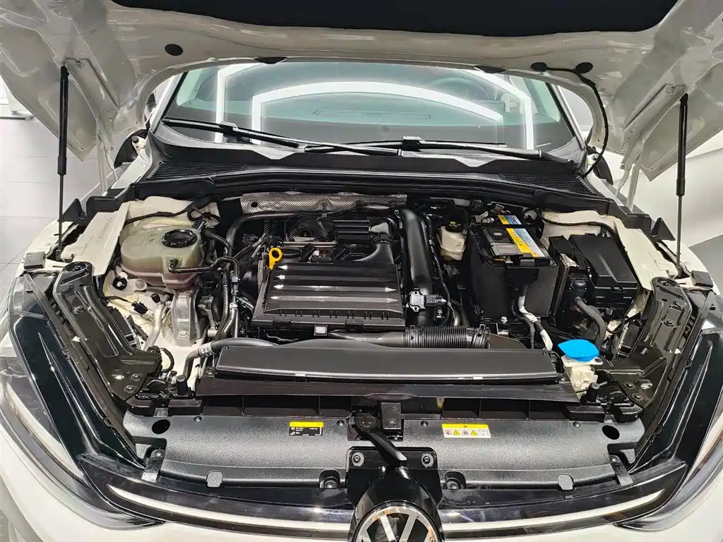 Volkswagen Lamando, миниатюра 8