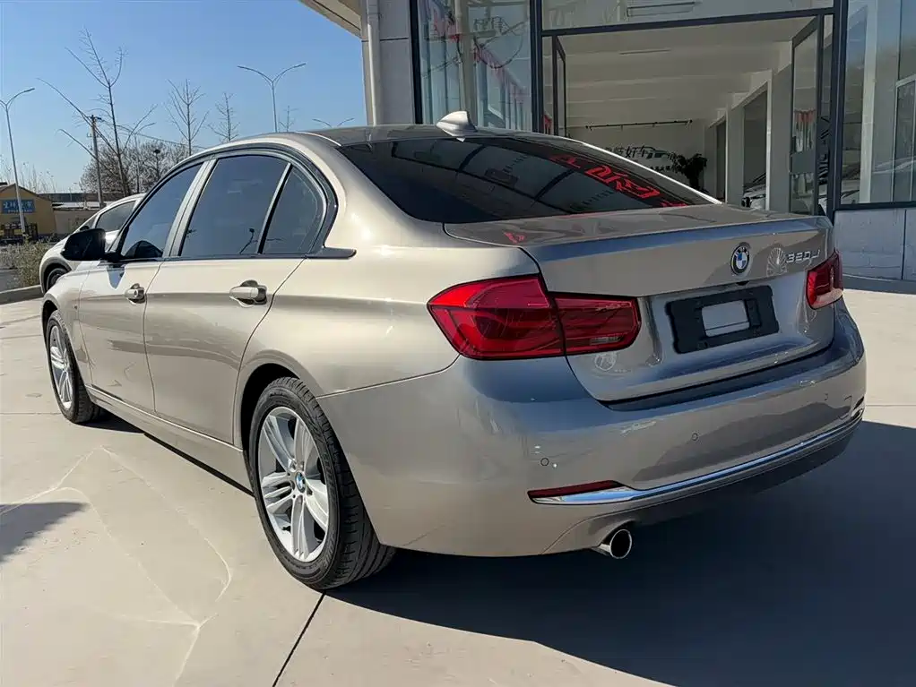 BMW 3 Series 2016 320Li Progressive фото 15