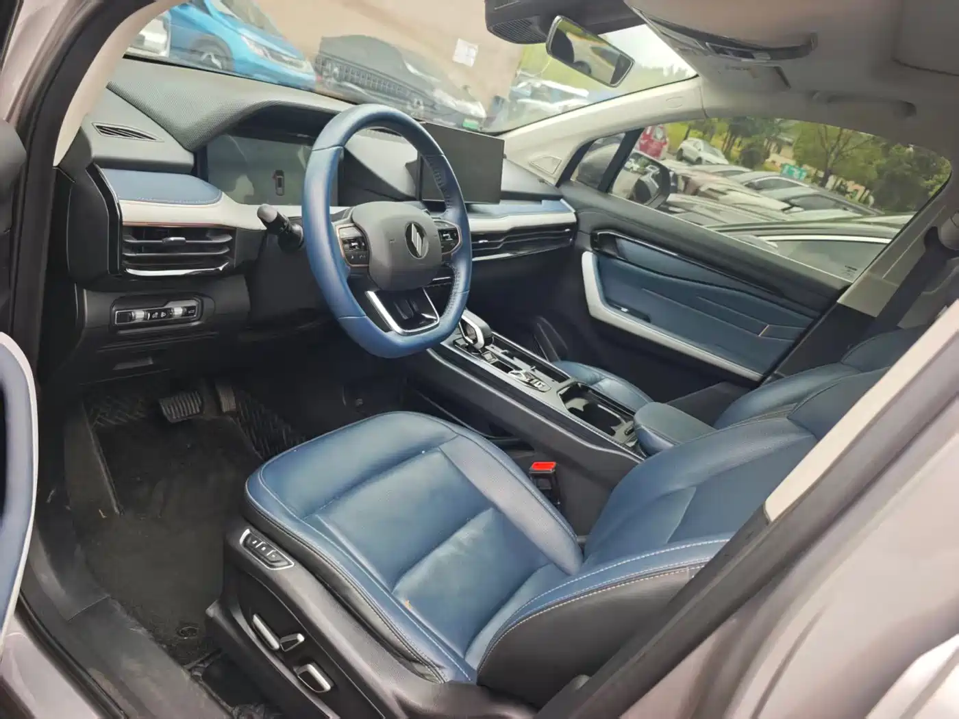 Ruilan Auto Ruilan 9 2024 2023 470km Executive Version
