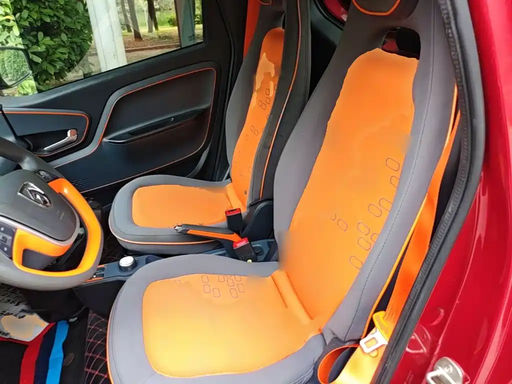 Baojun E100 2021 2020 305KM Intelligent Edition