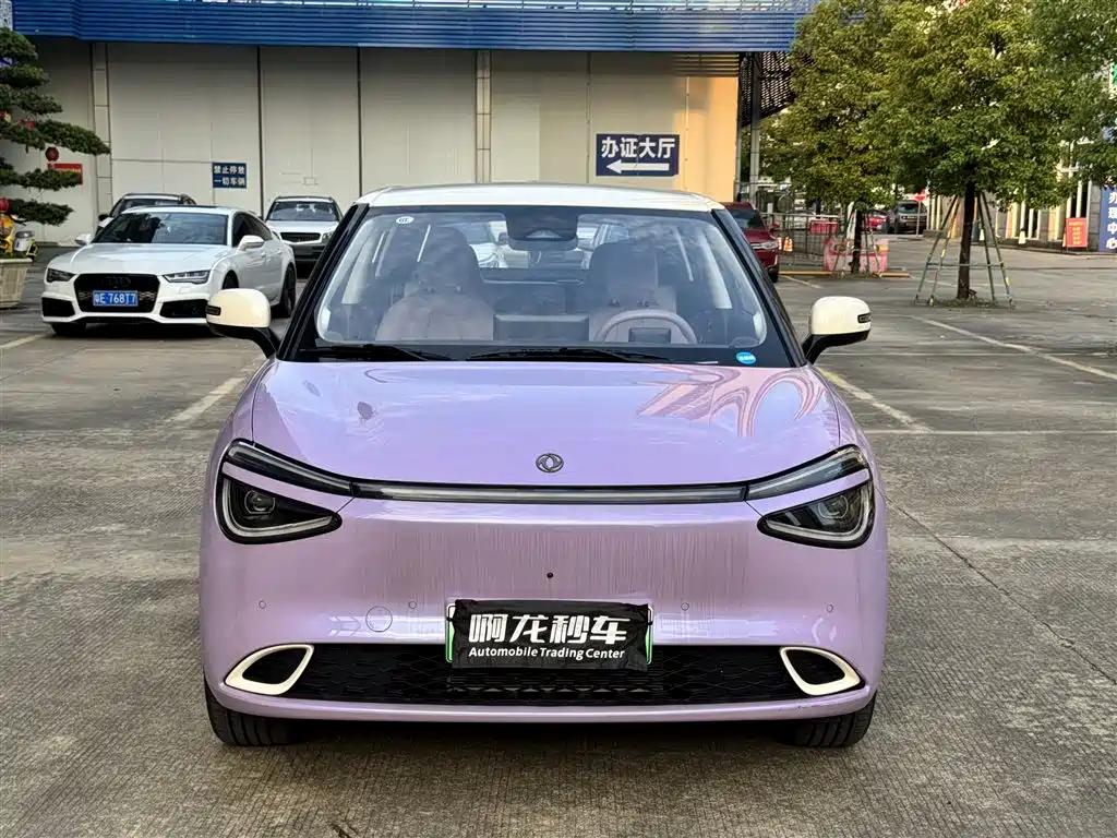 Dongfeng Yipai Nano 01 2025 2026 Model High-end Version