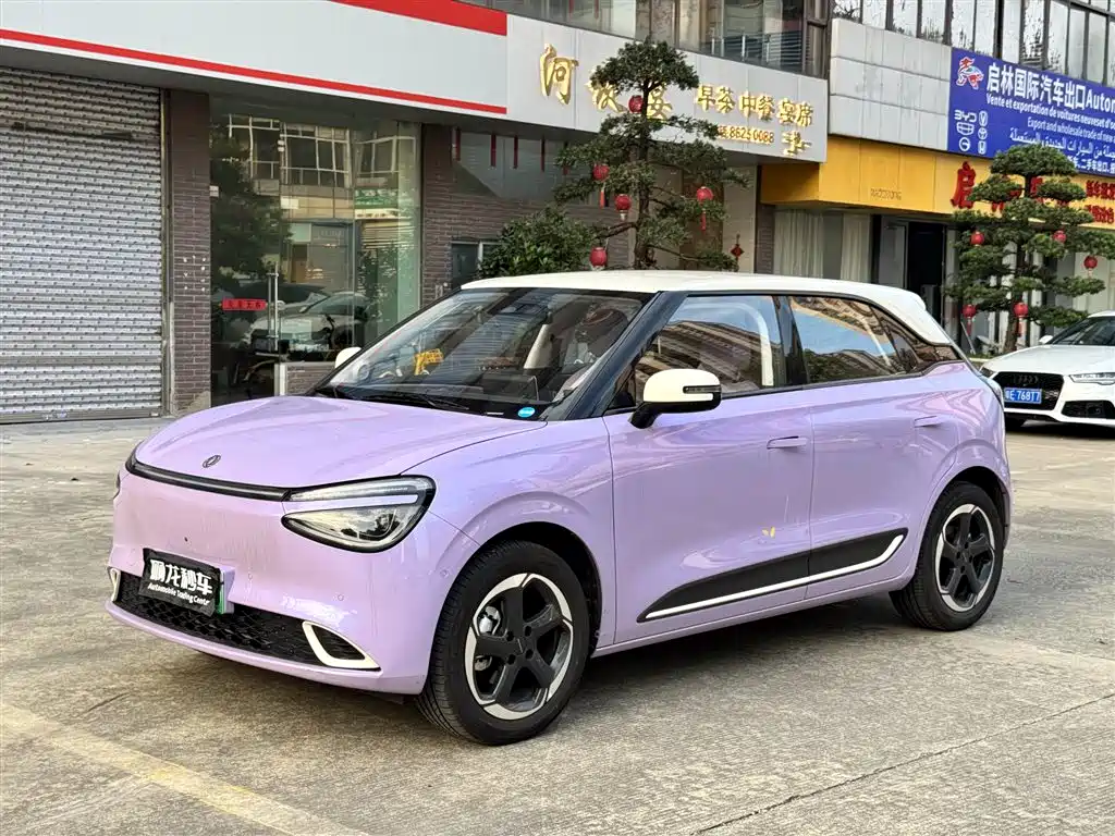 Dongfeng Yipai Nano 01 2025 2026 Model High-end Version