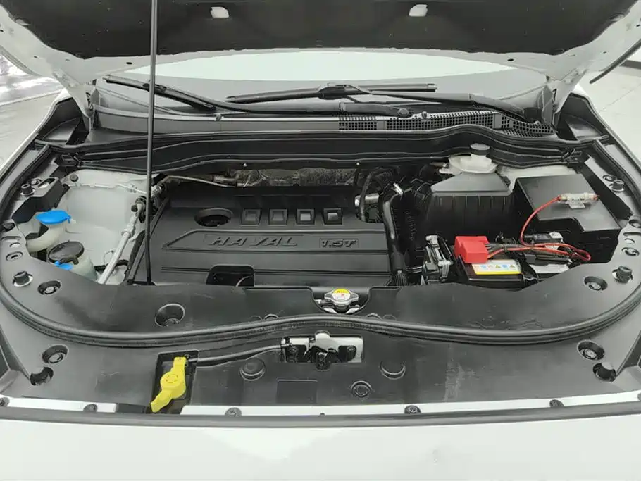 Haval M6 2019 1.5T DCT 2WD Value Edition (China VI) фото 10