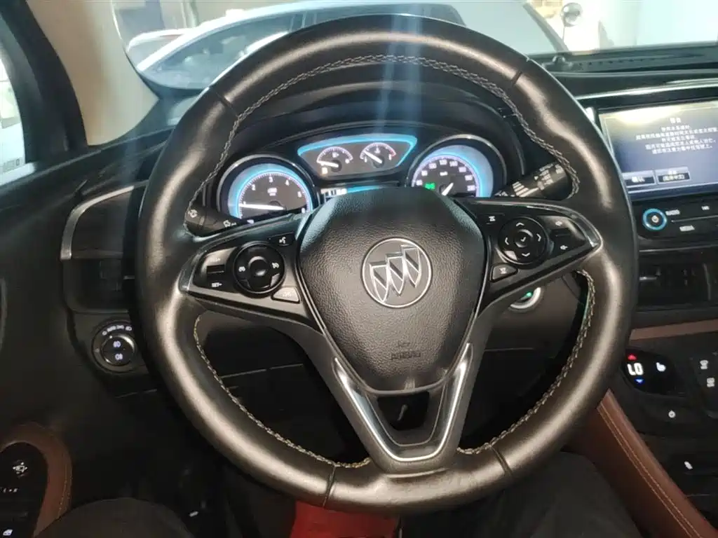 Buick Envision Plus 2016 20T 2WD Elite фото 11