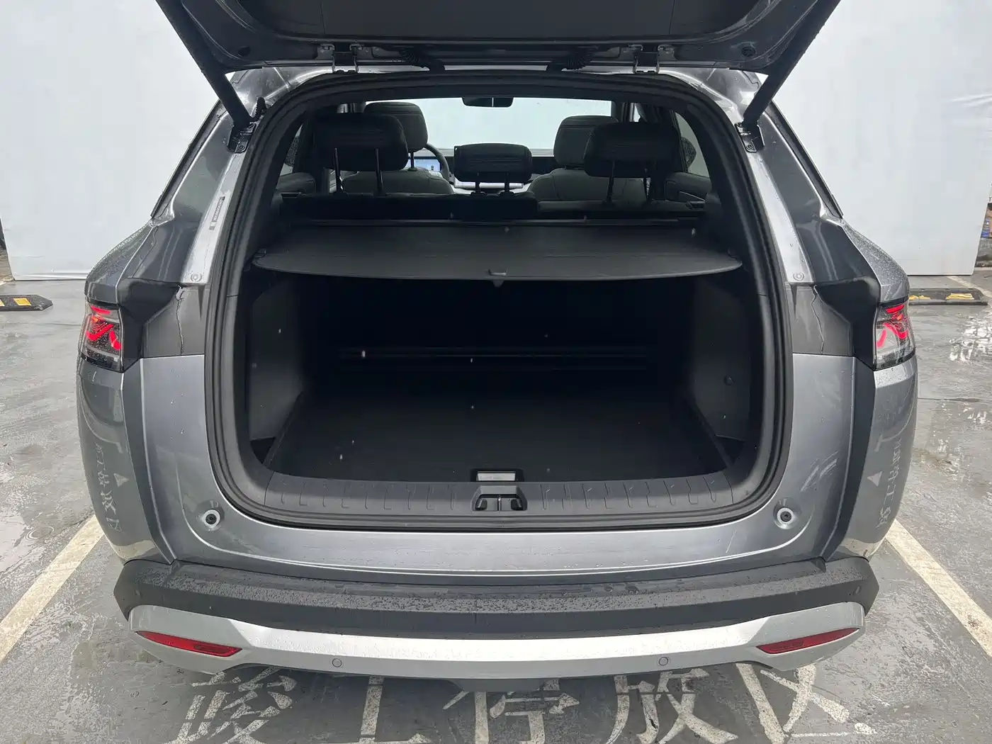 BYD Song L DM-i 2025 Smart Drive 160km Premium фото 12