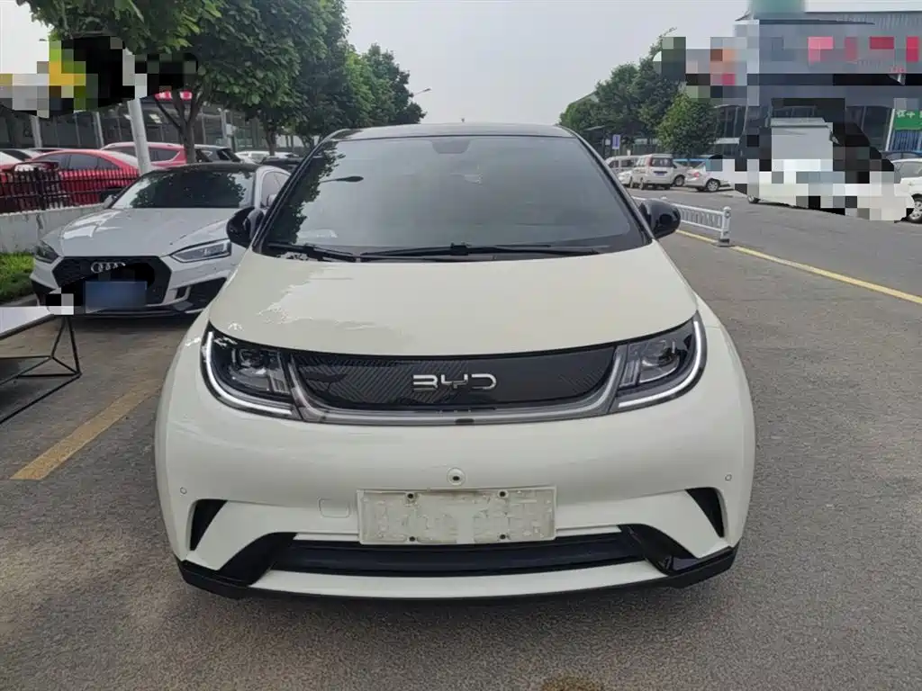 BYD Dolphin 2024 Glory Edition 420km Fashion Edition фото 3