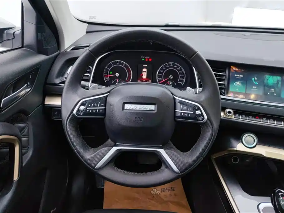 Haval H6 2020 2.0GDIT Automatic Platinum Champion Edition фото 15