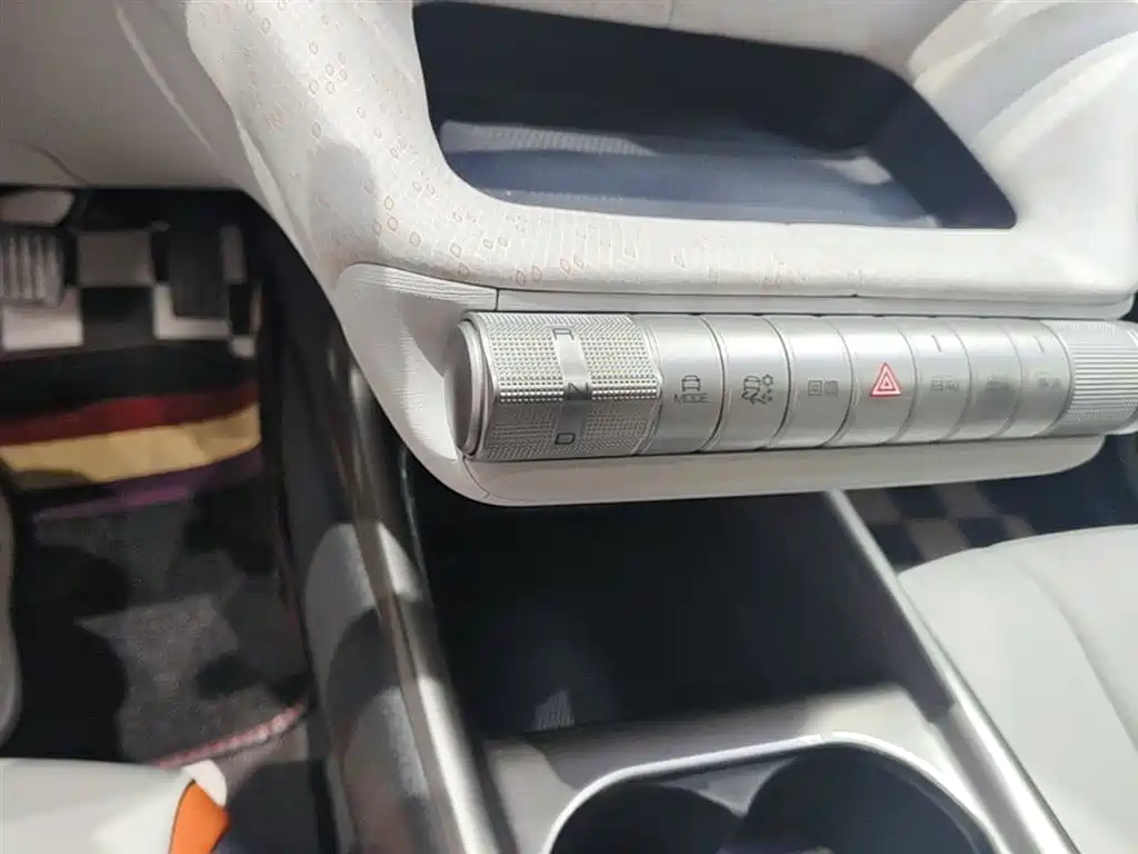 BYD Dolphin 2021 401km Knight Edition фото 14