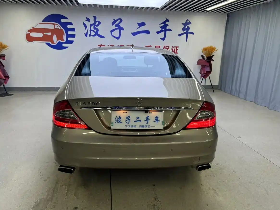 Mercedes-Benz CLS 2009 CLS 300 фото 19