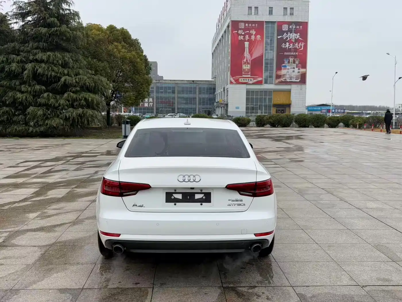 Audi A4L 2017 40 TFSI Progressive фото 8