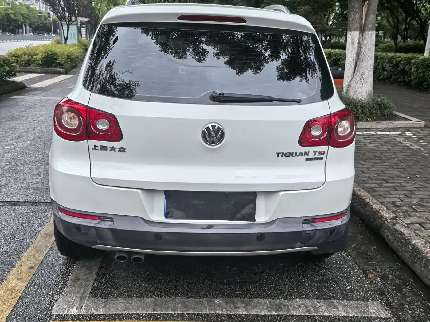 Volkswagen Tiguan 2012 1.8TSI Automatic 4WD Elite Edition фото 10